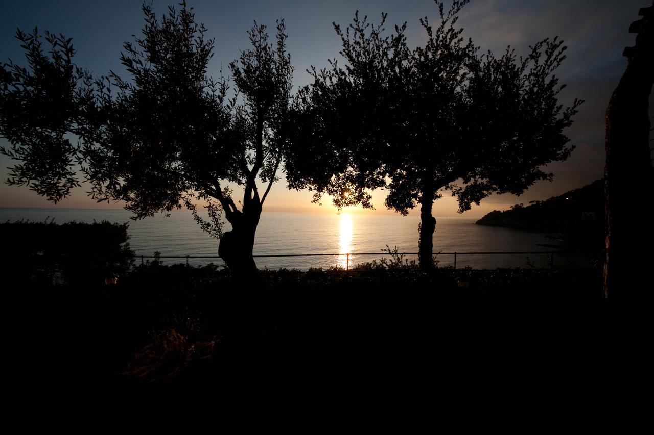 Villa Sul Mare Sori Rom bilde